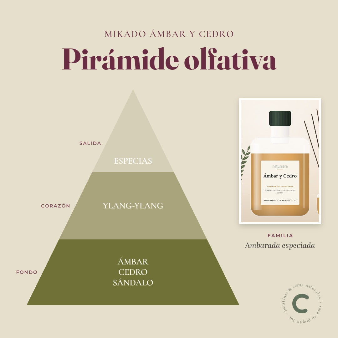 Pirámide olfativa del ambientador mikado Ámbar y Cedro: notas de salida, corazón y fondo