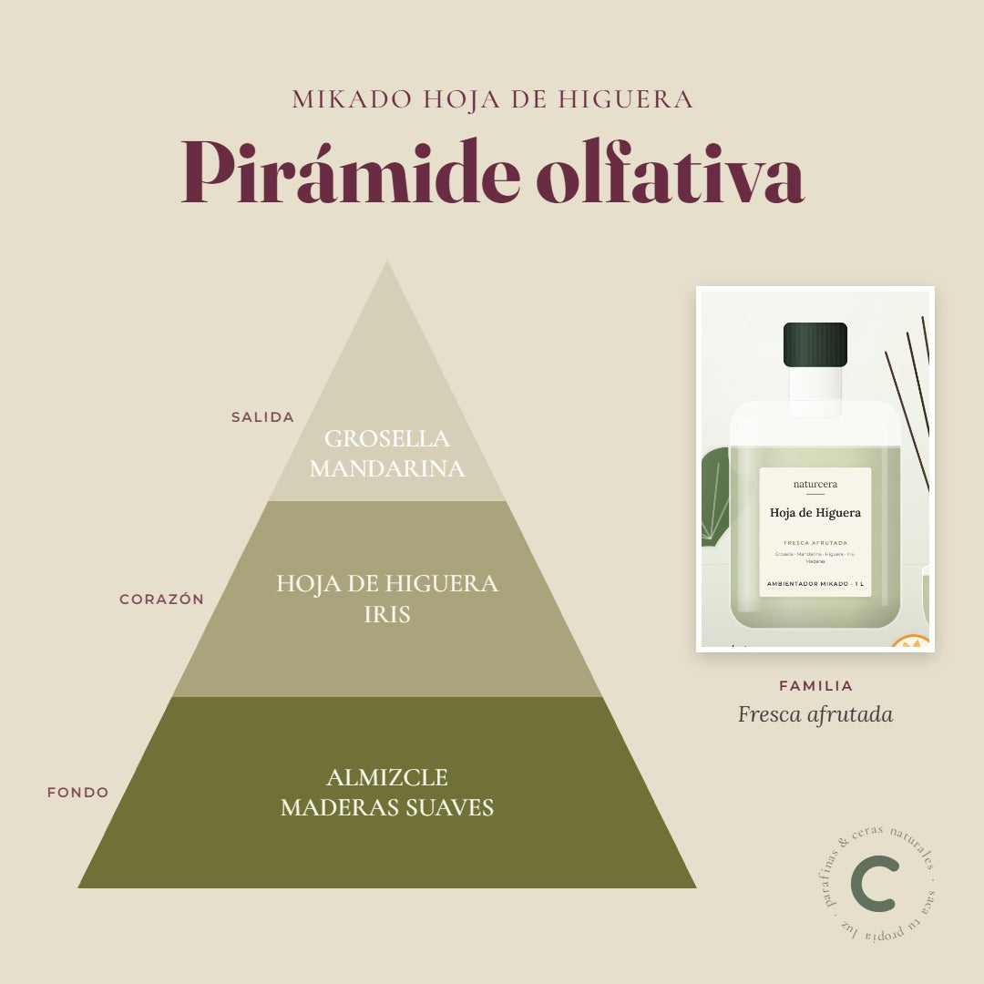 Pirámide olfativa del ambientador mikado Hoja de Higuera: notas de salida, corazón y fondo
