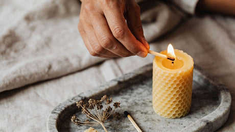 Cera de abeja para fabricar velas