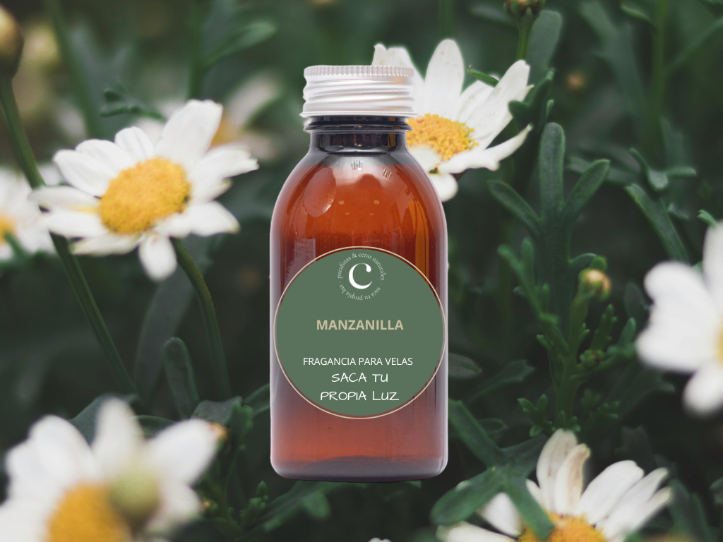 Chamomile Fragrance