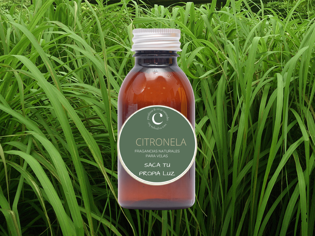 Parfum Citronnelle