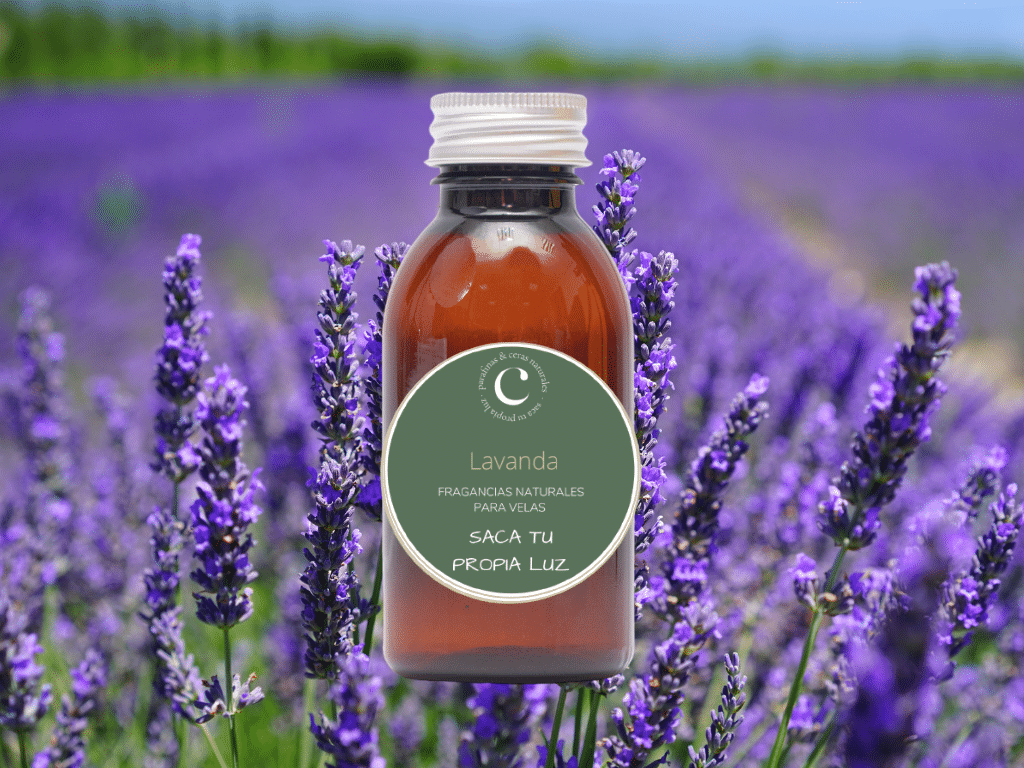 Fragranza Lavanda