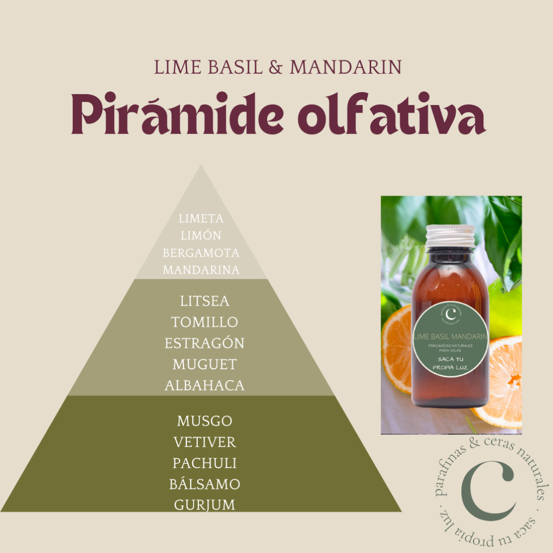 Fragancia Lime basil mandarin