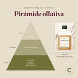 Pirámide olfativa del ambientador mikado Ámbar y Cedro: notas de salida, corazón y fondo