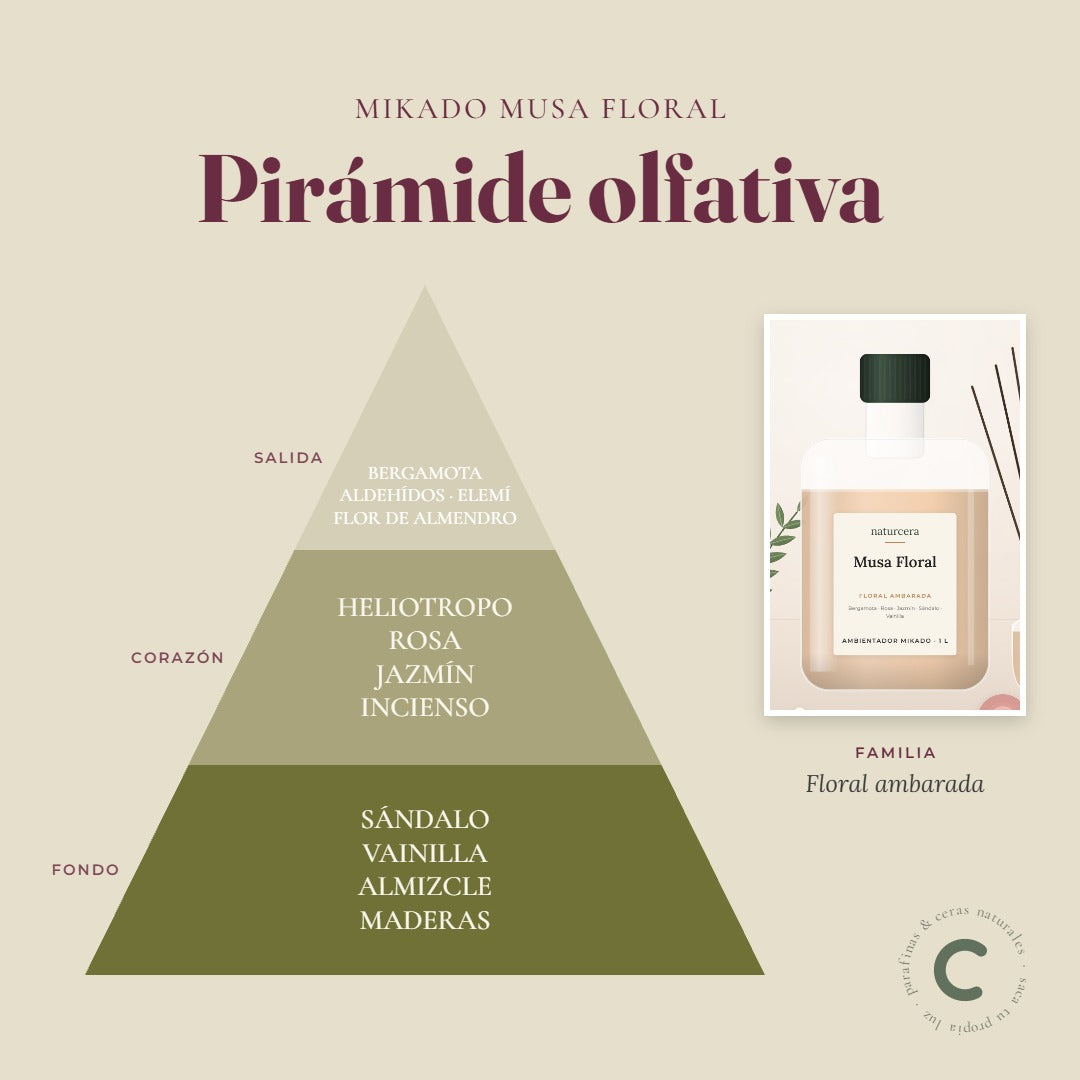 Pirámide olfativa del ambientador mikado Musa Floral: notas de salida, corazón y fondo