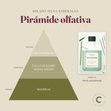 Pirámide olfativa del ambientador mikado Selva Esmeralda: notas de salida, corazón y fondo