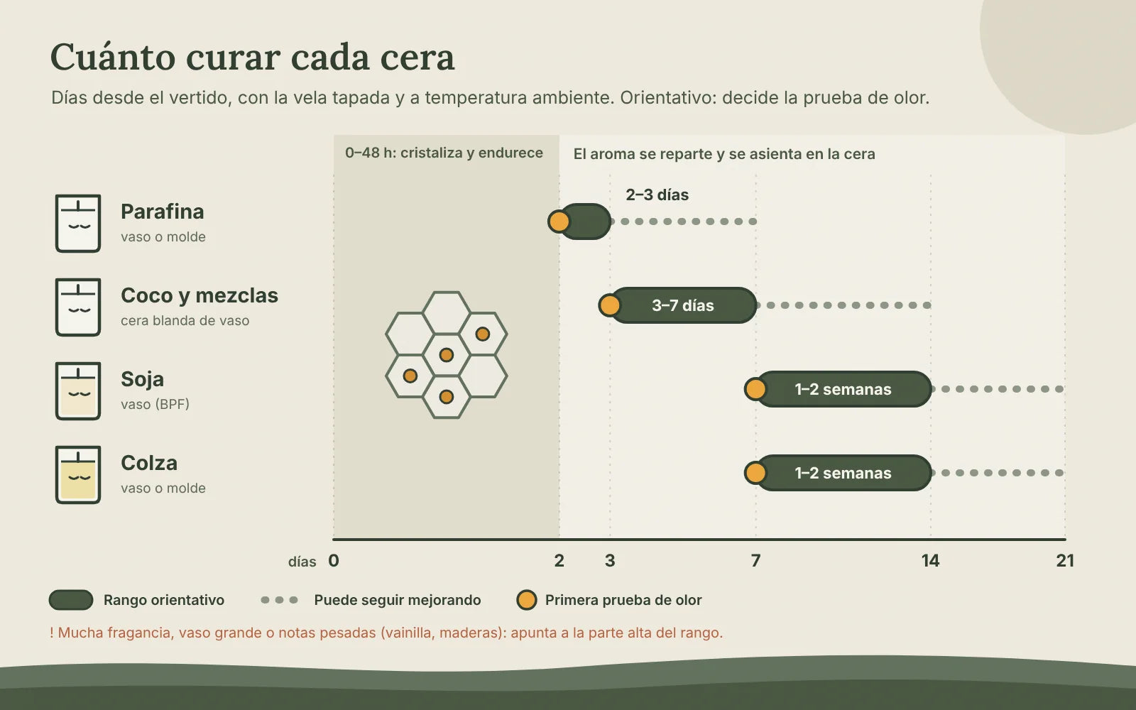 Línea de tiempo del curado por tipo de cera: parafina 2-3 días, coco y mezclas 3-7 días, soja 1-2 semanas y colza 1-2 semanas, con una primera fase de 0-48 horas de cristalización