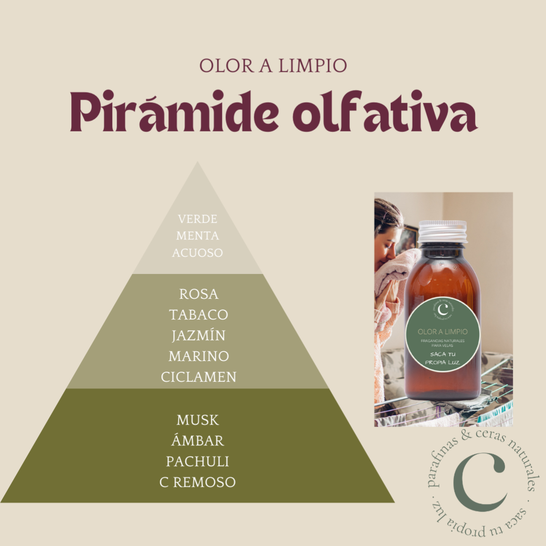 Fragancia Olor a limpio