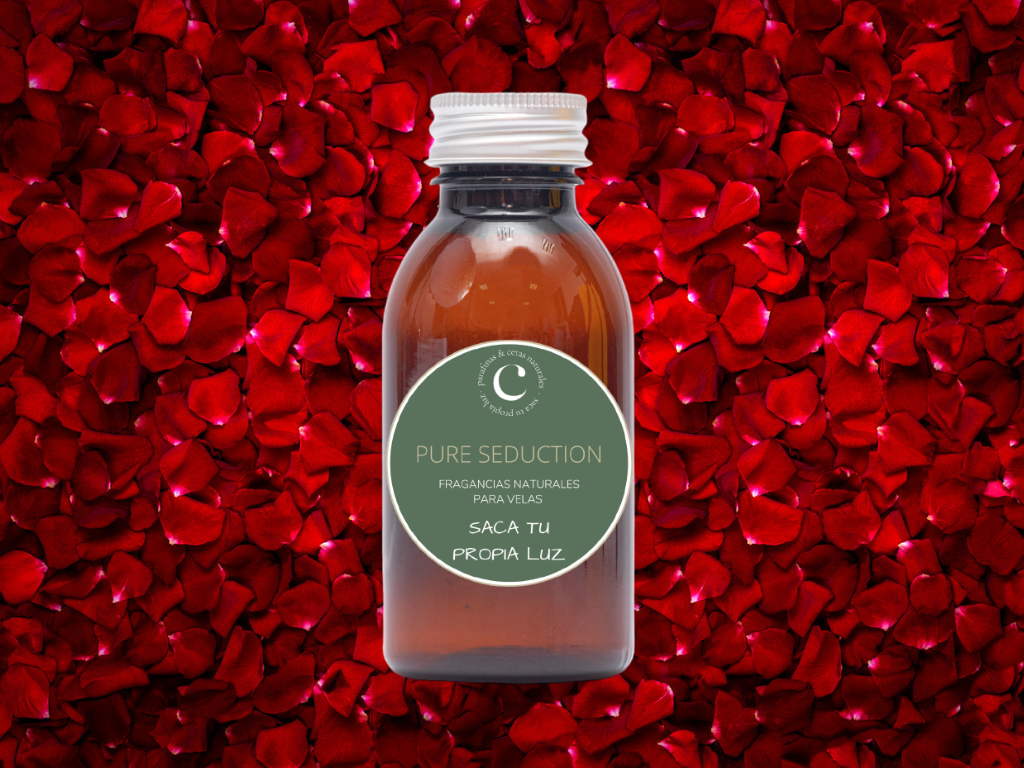 Pure Seduction Fragrance