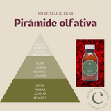 Pure Seduction Fragrance