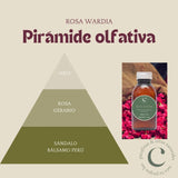 Fragancia rosa wardia