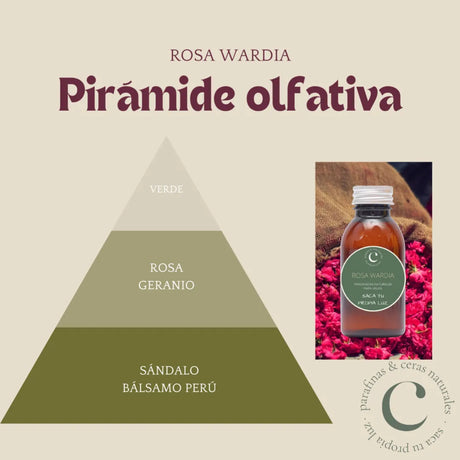 Fragancia rosa wardia